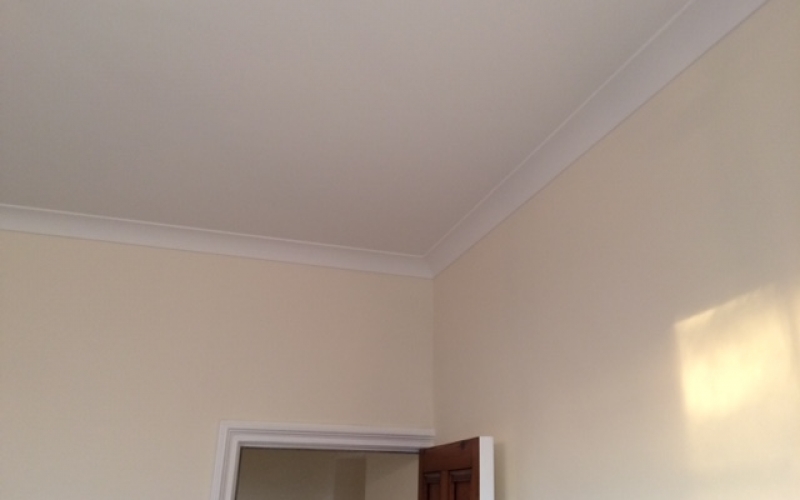 Acoustic ceiling - Complete - Fully decorated
