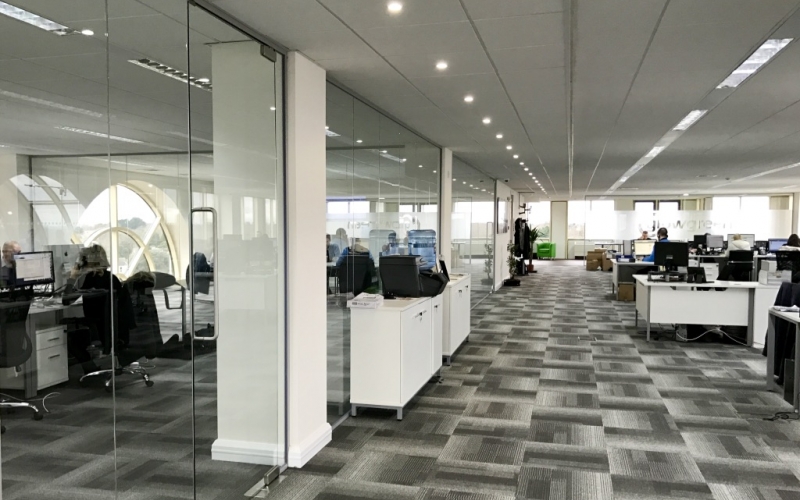 Frameless glass partition